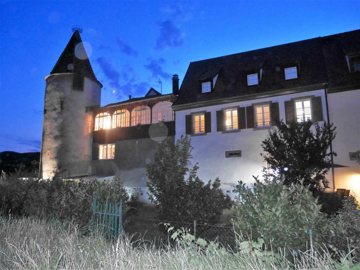 Les Gites De La Tour, Appartement "La Plaine" Saint-Hippolyte  Bagian luar foto